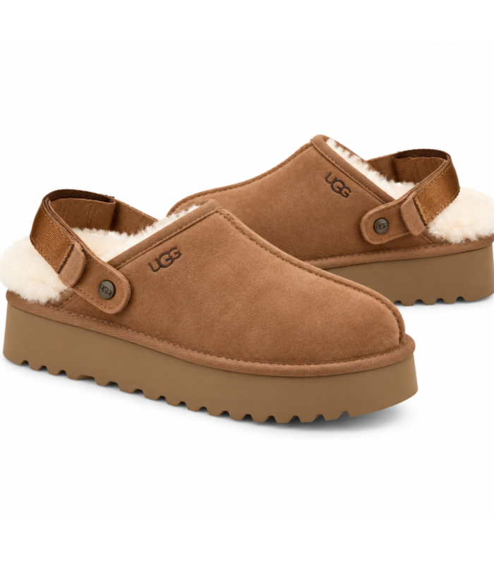 UG Goldenstar Camel