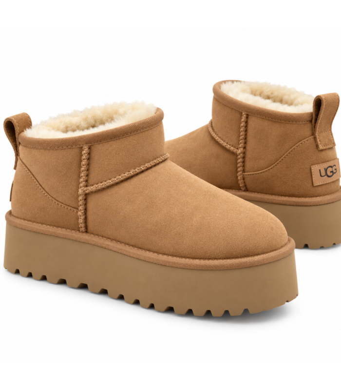 UG Plateforme Camel